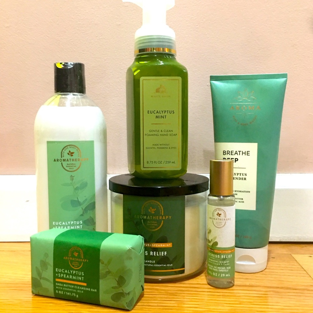 Bath & Body Works Aromatherapy therapy Eucalyptus Mint 6Piece Collection Set